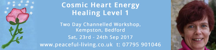 Cosmic heart Energy Healing Level 1