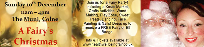 A Fairy's Christmas A Fairy's Christmas
