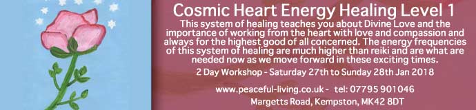 Cosmic Heart Energy Healing Level 1 Cosmic Heart Energy Healing Level 1