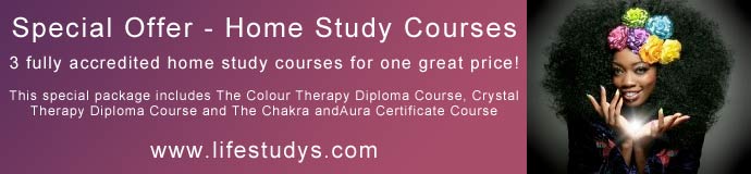 Special Offer Special Offer