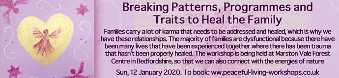 Breaking Patterns, Programmes and Traits to Heal the Family Breaking Patterns, Programmes and Traits to Heal the Family