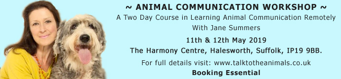 Two Day Animal Communication Workshop Two Day Animal Communication Workshop